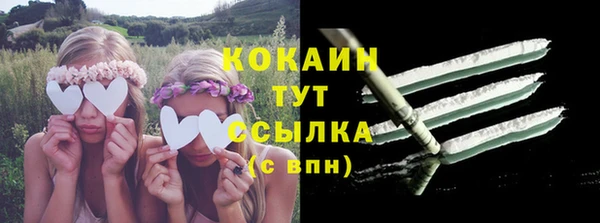 индика Абинск