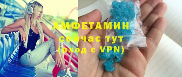 индика Абинск
