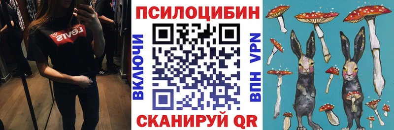где купить   Монино  Галлюциногенные грибы MAGIC MUSHROOMS 